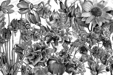 Black and White Floral JRV