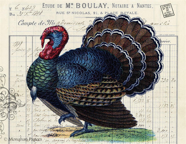 Tom Turkey (015) T25