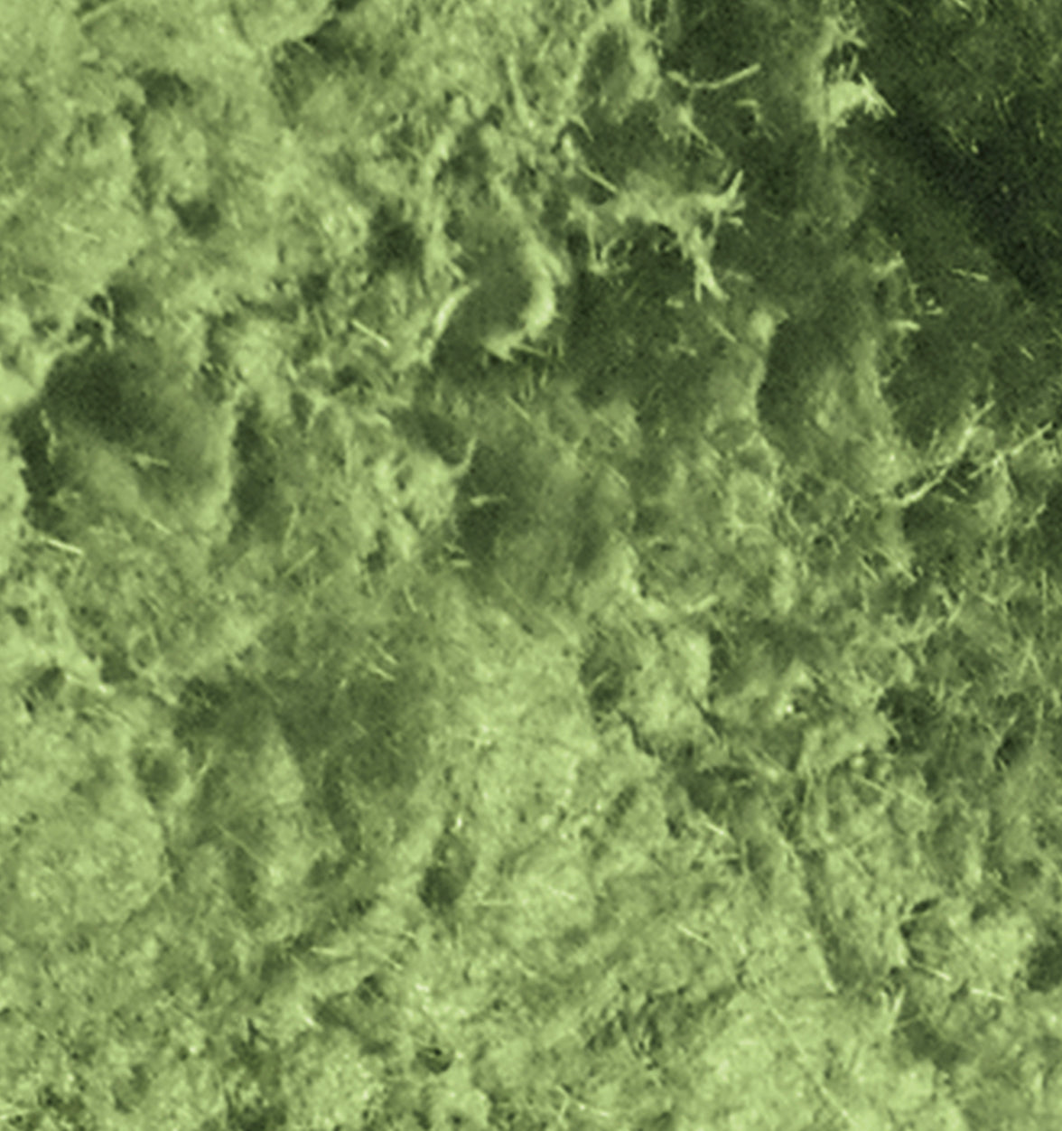 Moss /Grass Effect Paste