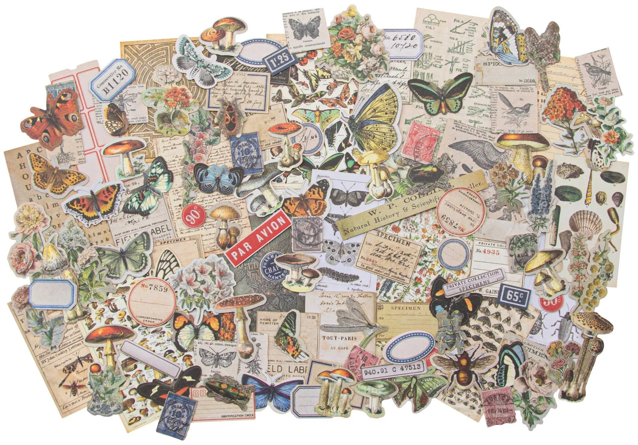 Tim Holtz Ephemera Snippets Field Notes