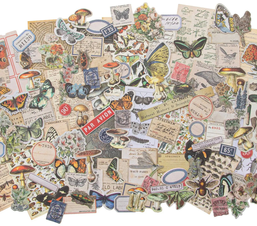 Tim Holtz Ephemera Snippets Field Notes