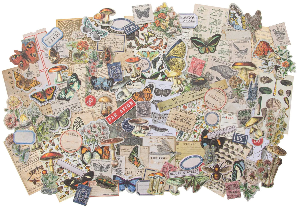 Tim Holtz Ephemera Snippets Field Notes