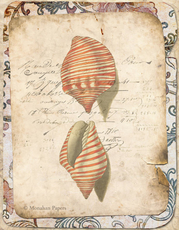 Red Striped Chullas Shell (014) X284