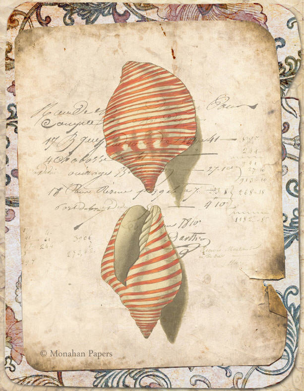 Red Striped Chullas Shell X284