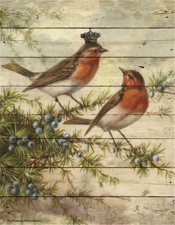 Christmas Red Belly Birds C289