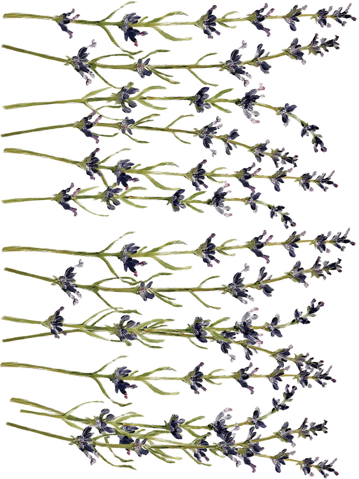 Painterly Florals IOD Transfer