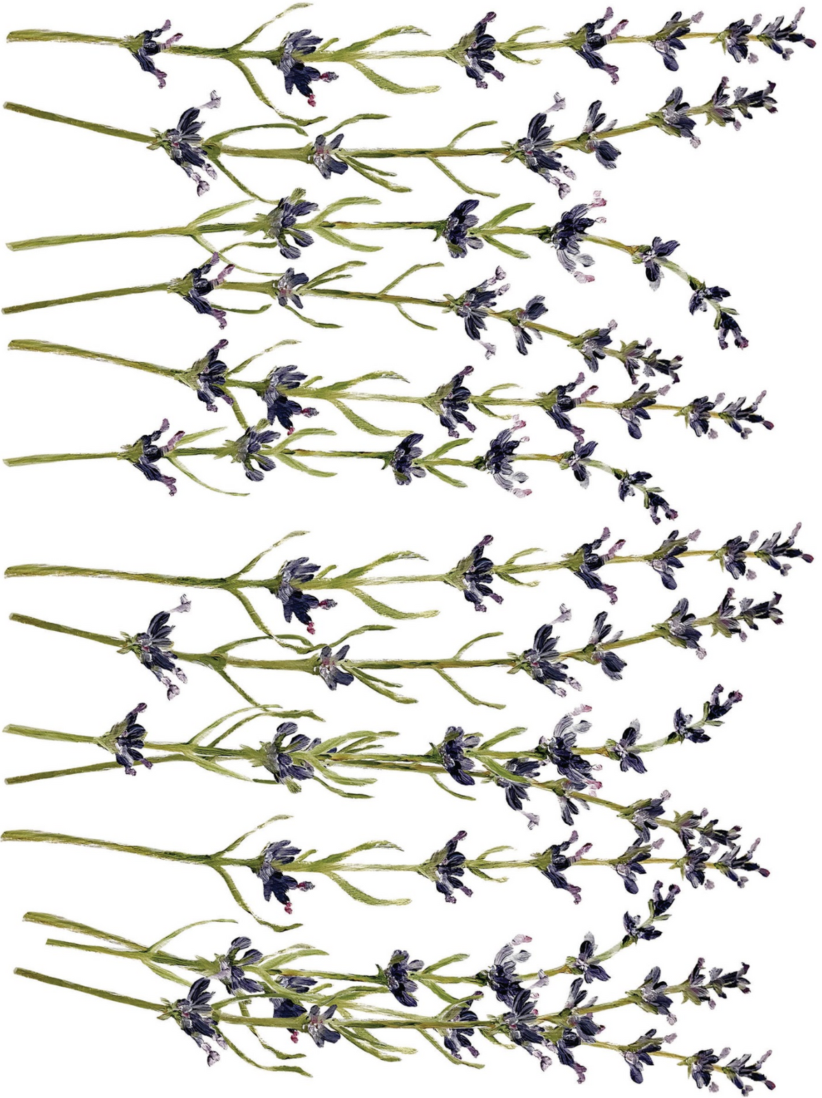 Painterly Florals IOD Transfer