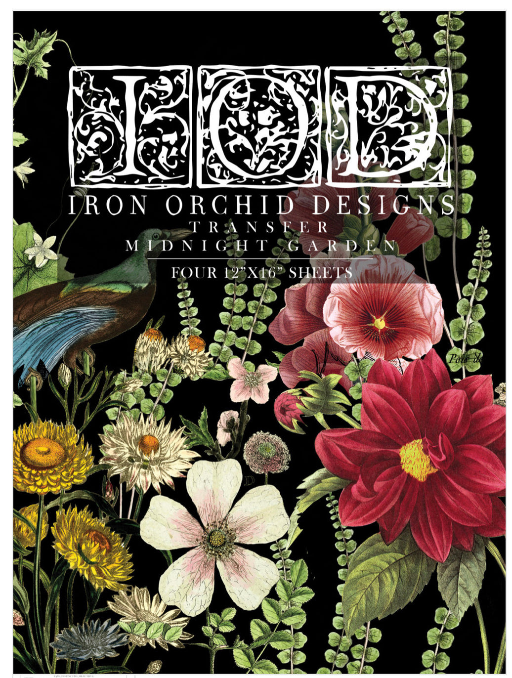 Midnight Garden IOD Transfer