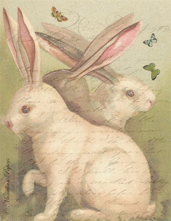 Twin Hares E88