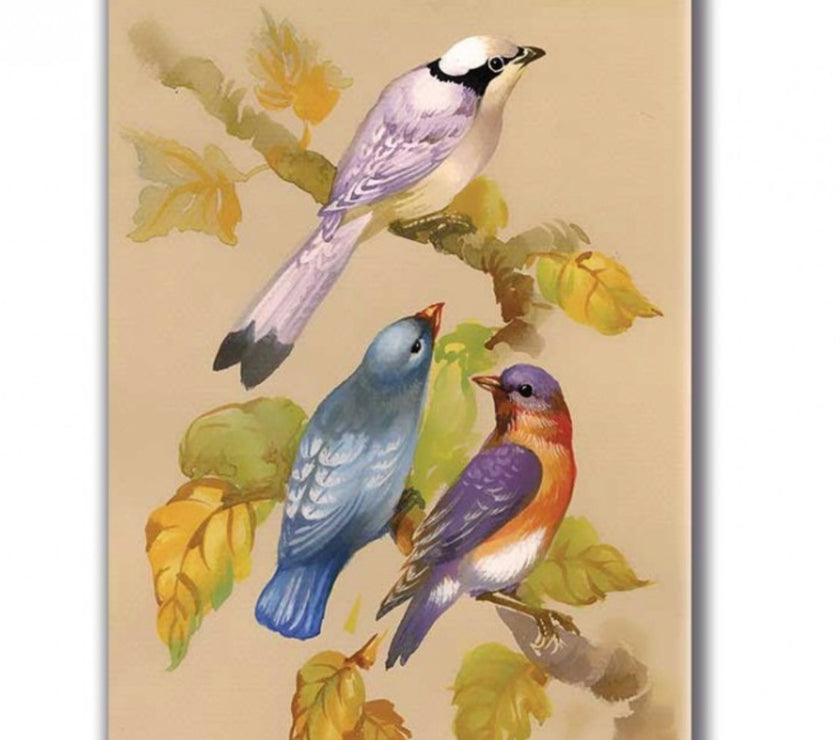 Thrush Songbird Paper