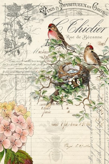 Roycycled Bird Ephemera