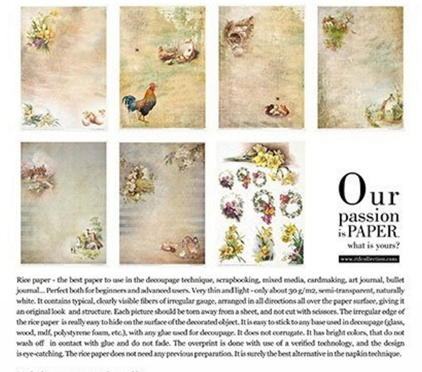 Spring Impressions Multi pack