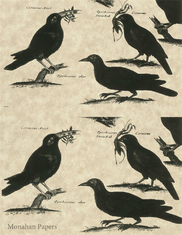 As The Crow Flies (017) SPS211