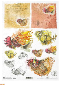 Farm Rooster Portraits R1572