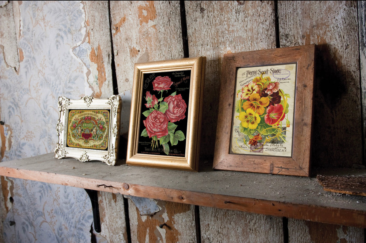 Ephemeral Melange IOD Transfer