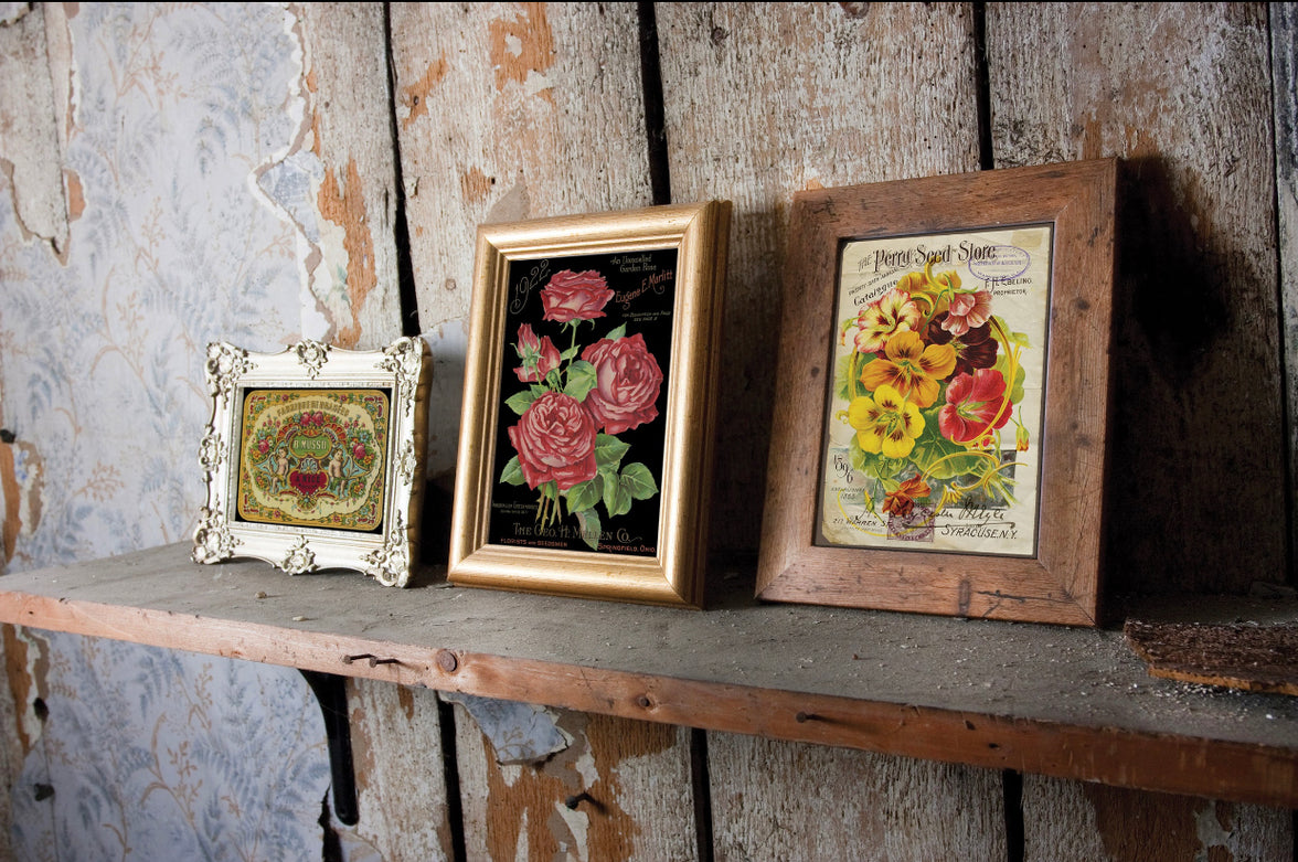 Ephemeral Melange IOD Transfer