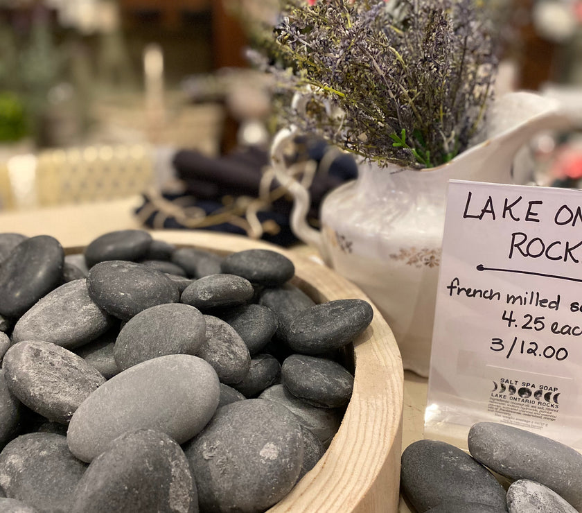 3 Lake Ontario Soap Rocks