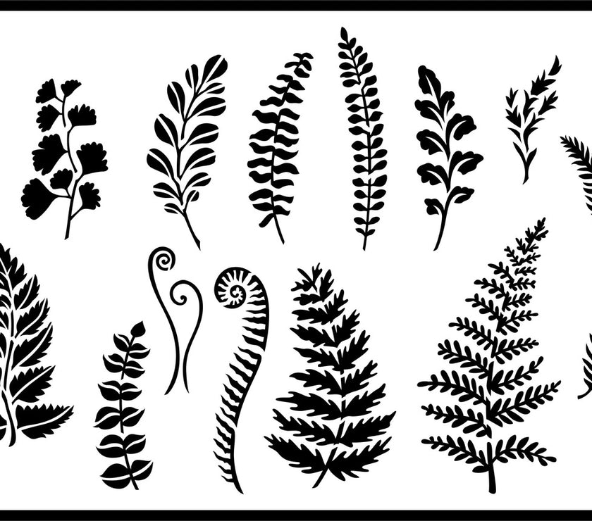 JRV Ferns and Greenery