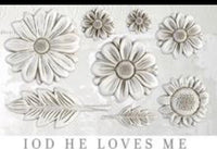 He Loves Me IOD Décor Mould