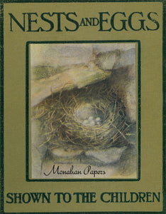Nest And Eggs E17