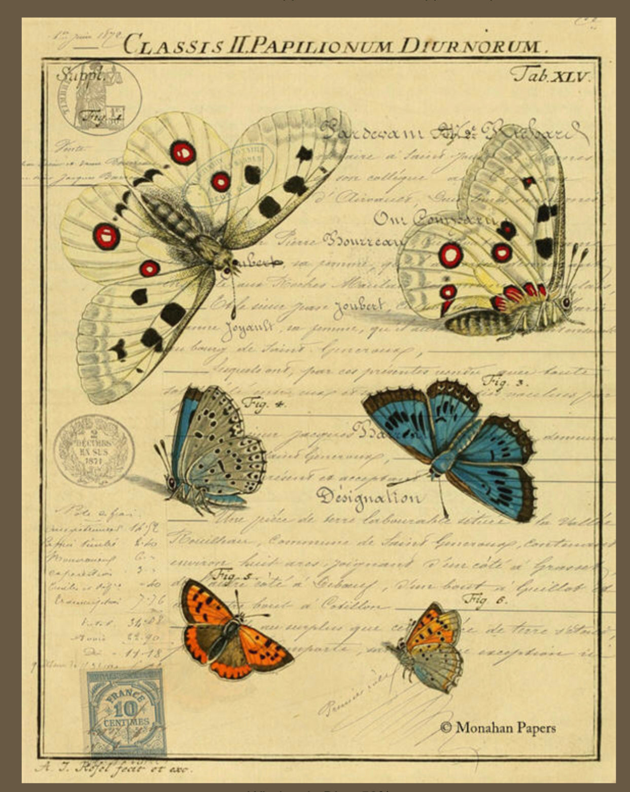 Butterflies (020) X485