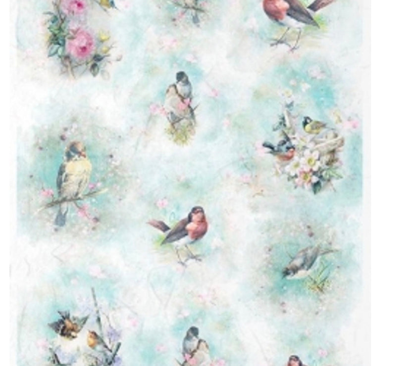 Spring Bird Portraits R1670