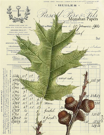 Leaves and Acorns 1 (024) X325