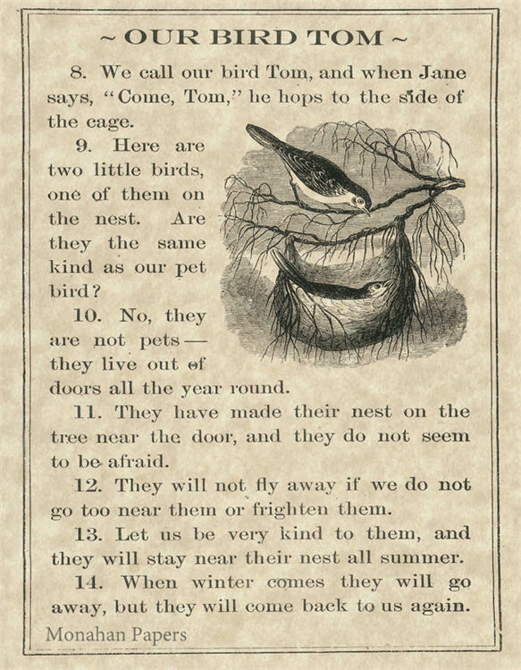 We Call Our Bird Tom (002) SPS107