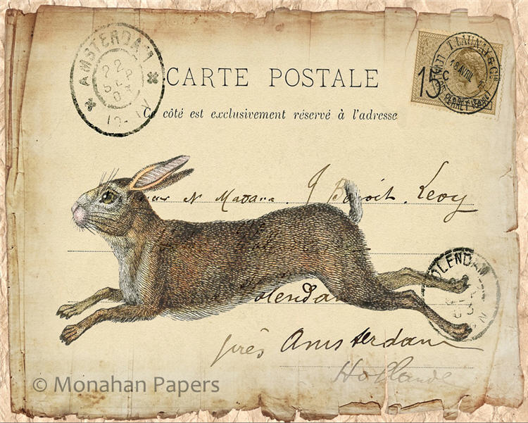 Running Hare (044) SPS672