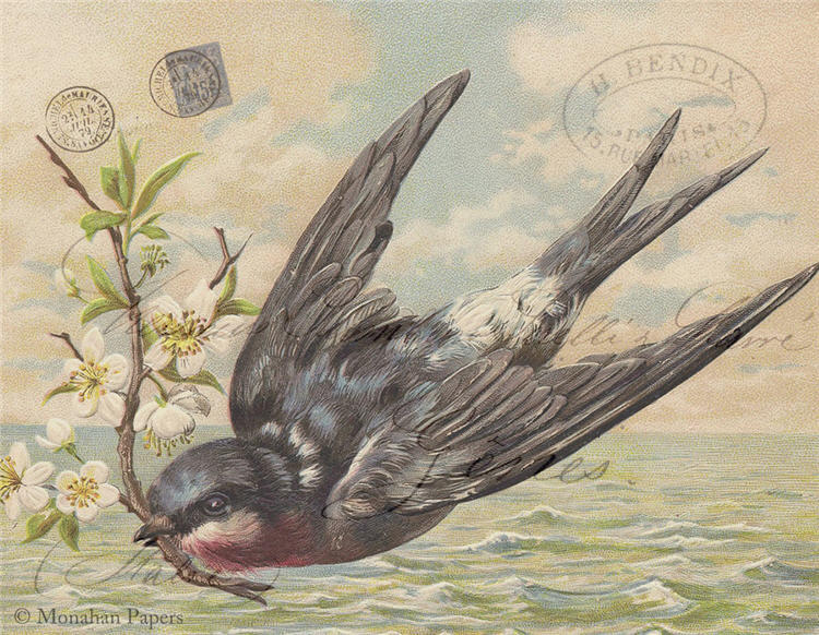 Bird and Floral Vine (019) SPS987