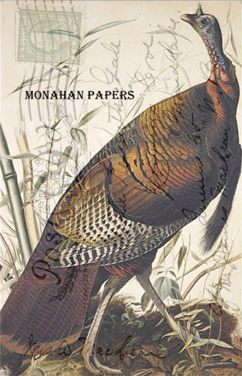 Wild Turkey (010) T15