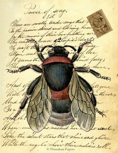 Bee X135