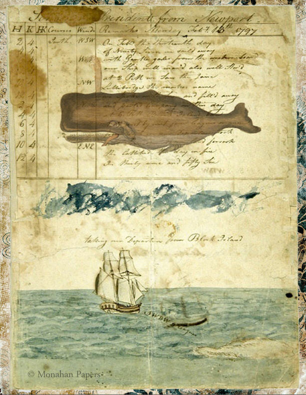 Newport Whale (018) X280