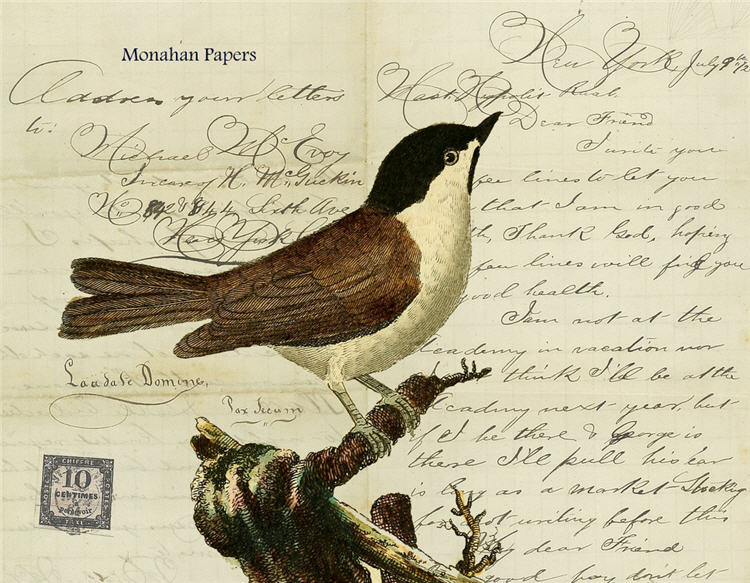 White Breasted Master Hippolis (015) X314