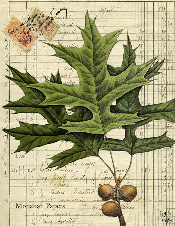 Leaves and Acorns 2 (024) X326