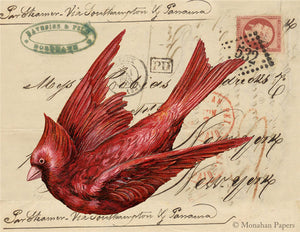 The Red Cardinal X337
