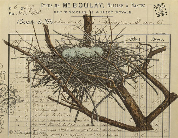 Blue Eggs & Nest (012) X508